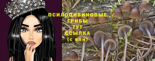 кристаллы Арсеньев