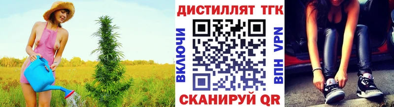 ТГК концентрат  Купить закладки  Аркадак 