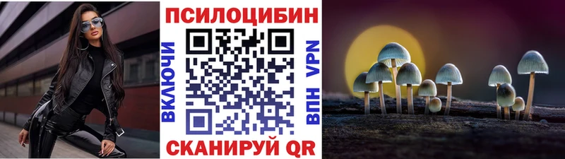 Купить где Аркадак Галлюциногенные грибы MAGIC MUSHROOMS
